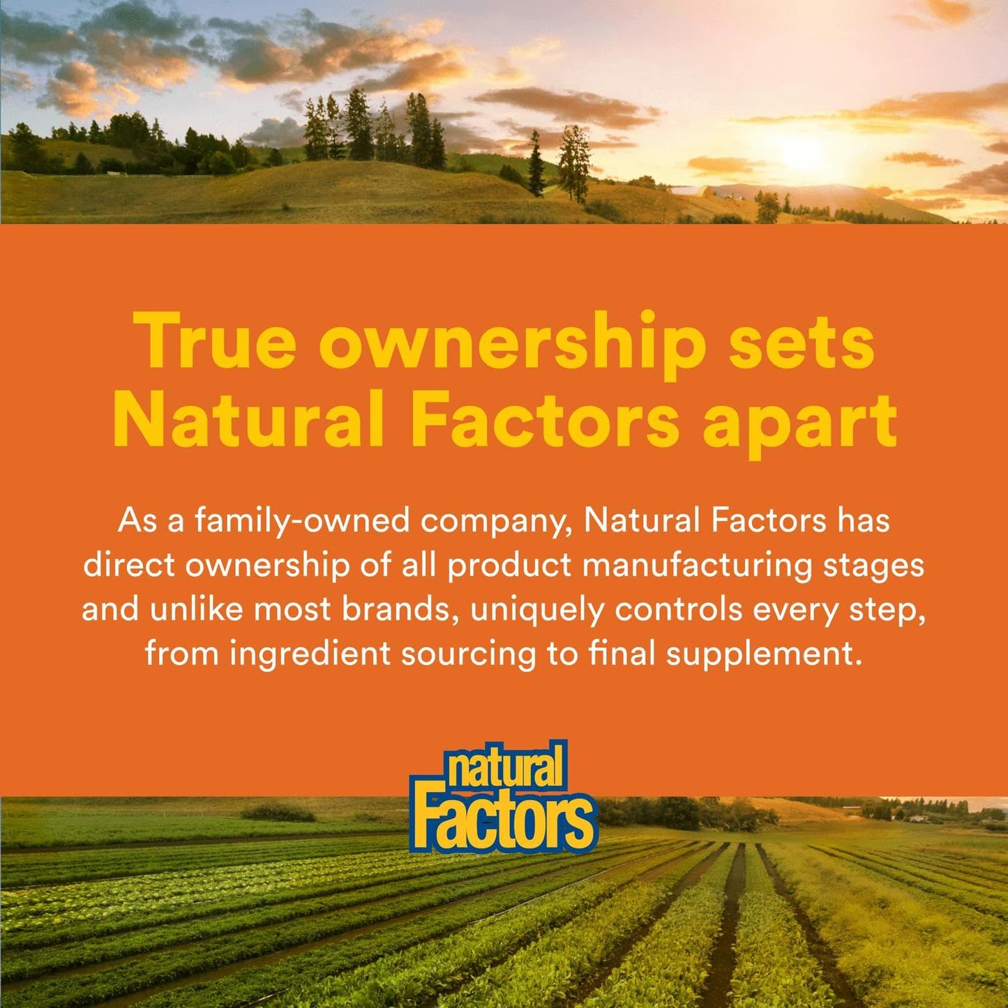 Natural Factors SAMe 200 mg โ Mood Support & Joint Health, 60 Tablets
