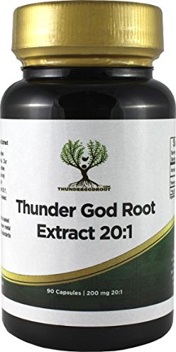 Thunder God Vine Root 20:1 Supplement β 200 mg Tripterygium Wilfordii, 90 Capsules | ThunderGodRoot