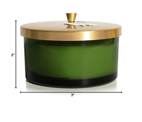 Thymes Frasier Fir Scented Candles β 4-Wick 21 oz | Luxury Home Fragrance Gift