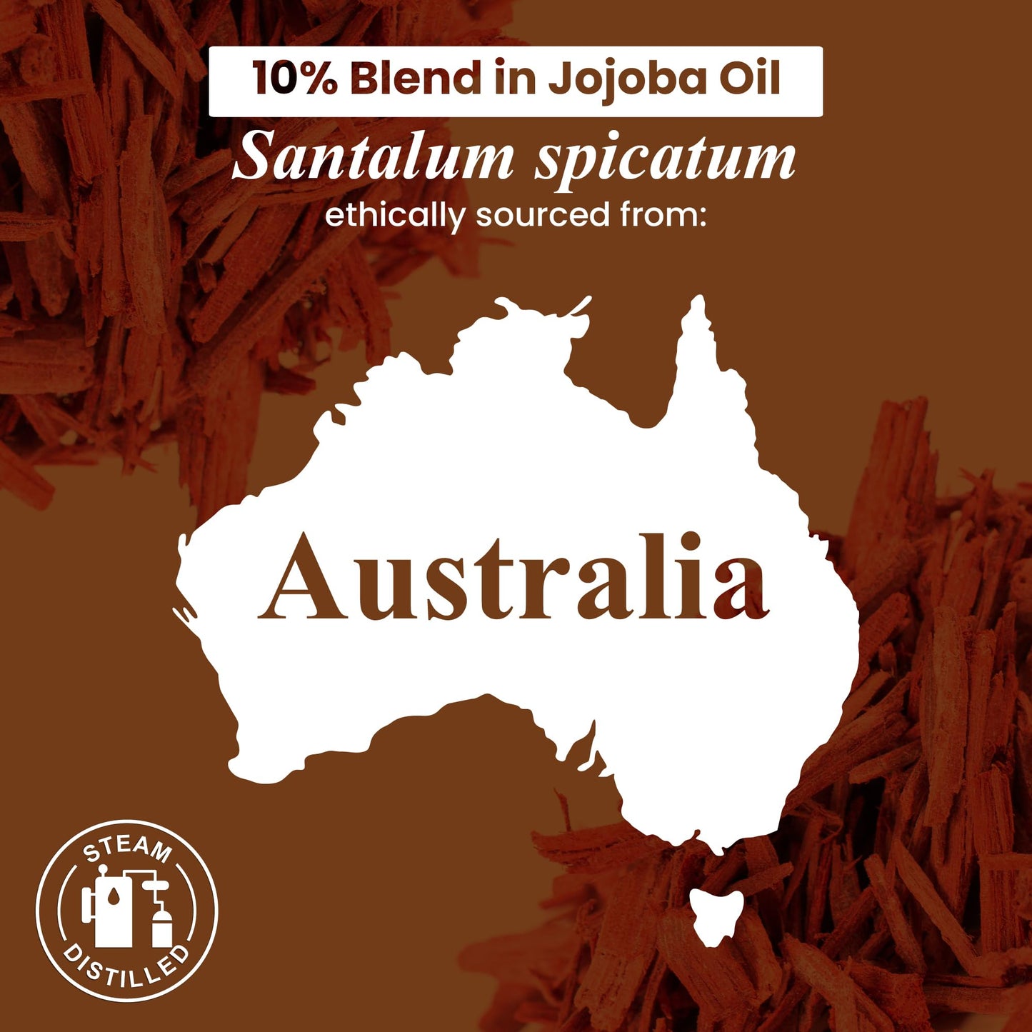Handcraft Blends Sandalwood Essential Oil – 1 Fl Oz | 100% Pure & Natural, Premium Grade