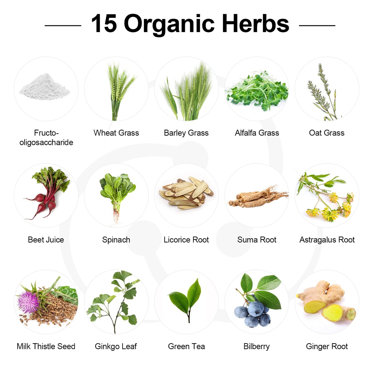 Probiotics for Women and Men โ 300B CFU, 24 Strains + 15 Organic Herbs (2 Month Supply)