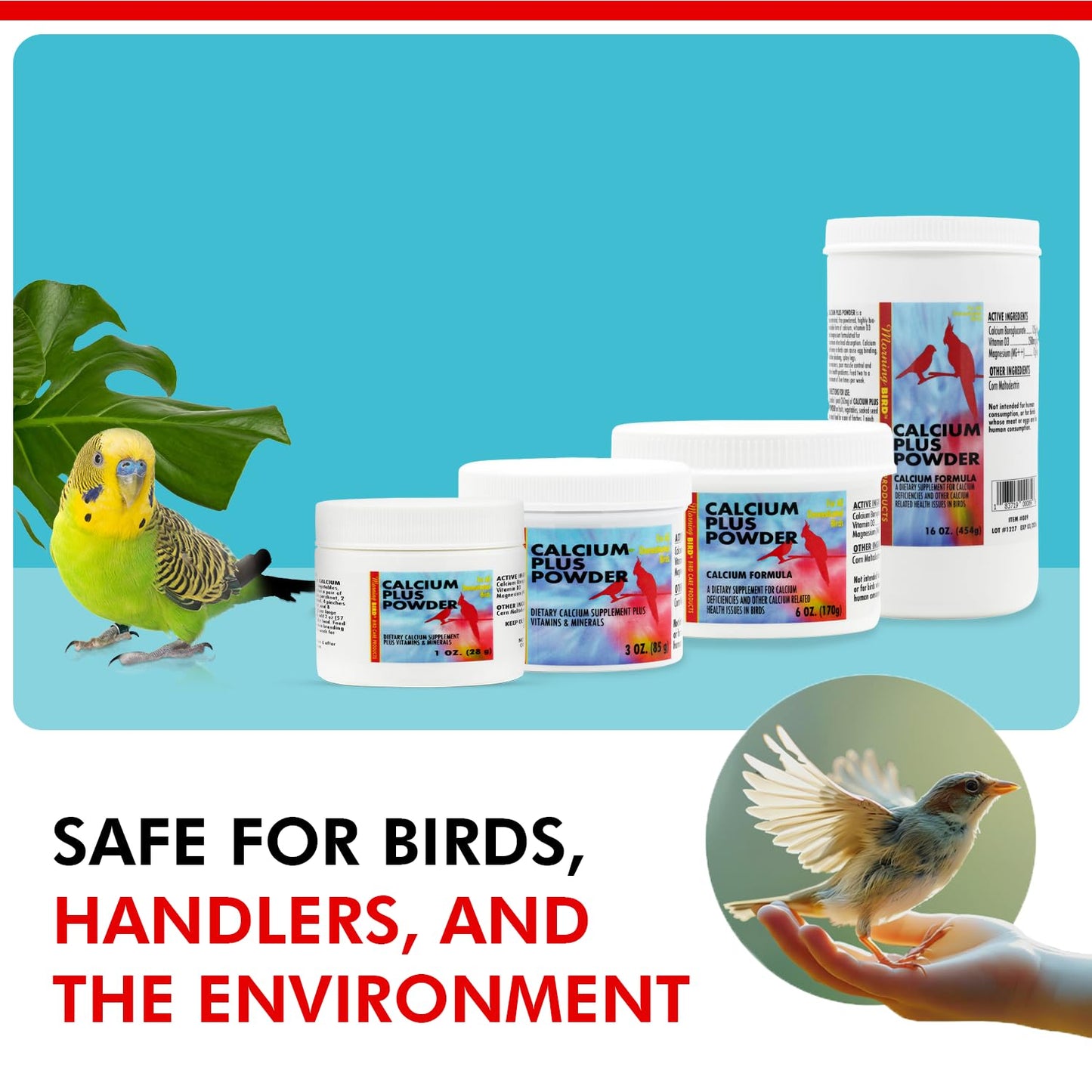 Morning Bird Calcium Plus Powder for Birds 1 oz โ Calcium & Vitamin Supplement for Bone Health