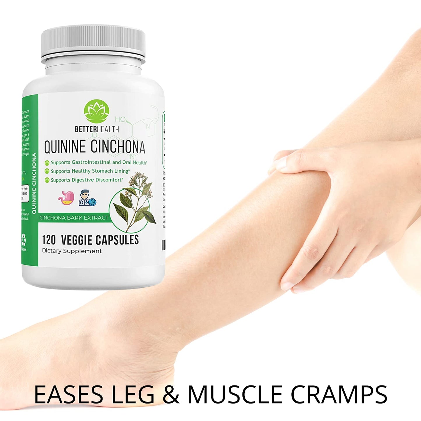 Quinine Cinchona Bark Extract โ 500 mg Herbal Supplement for Digestive, Immune & Muscle Support (120 Caps)