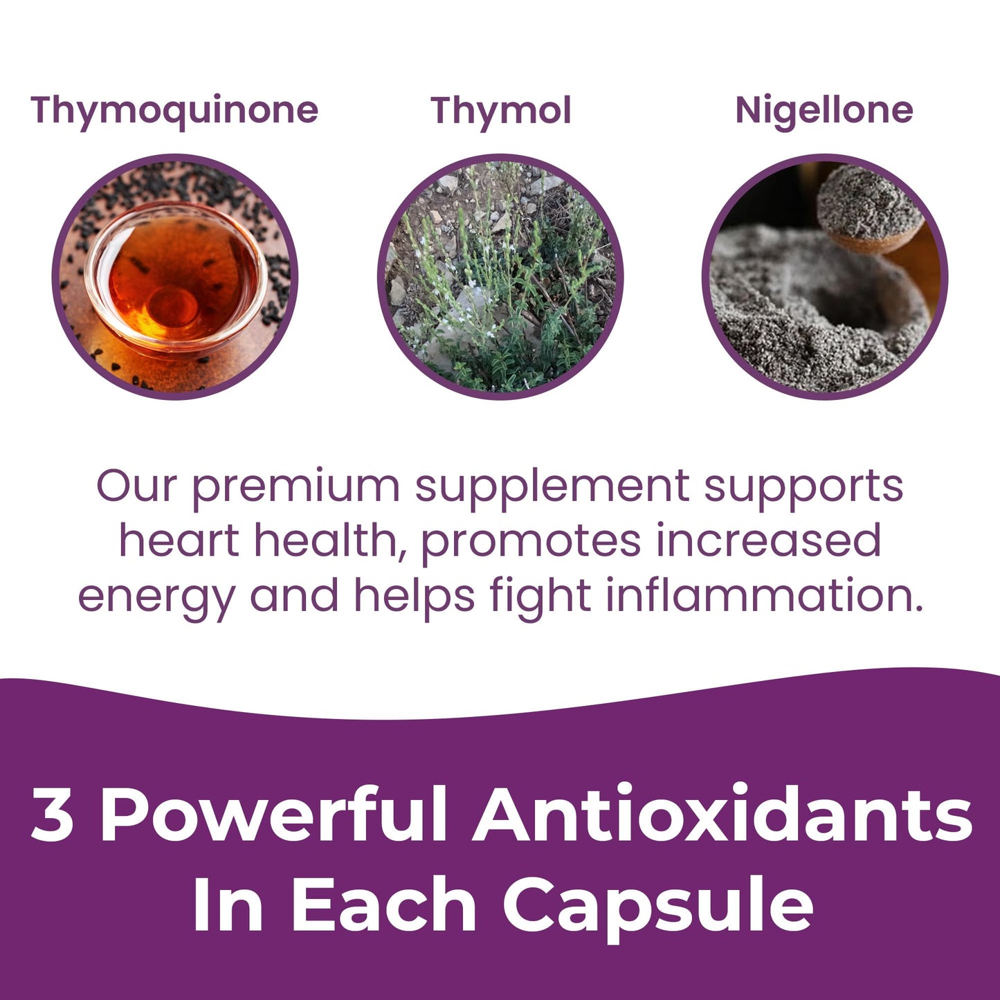 Infinite Age Black Seed Oil Extract Capsules, 60 Count | Nigella Sativa