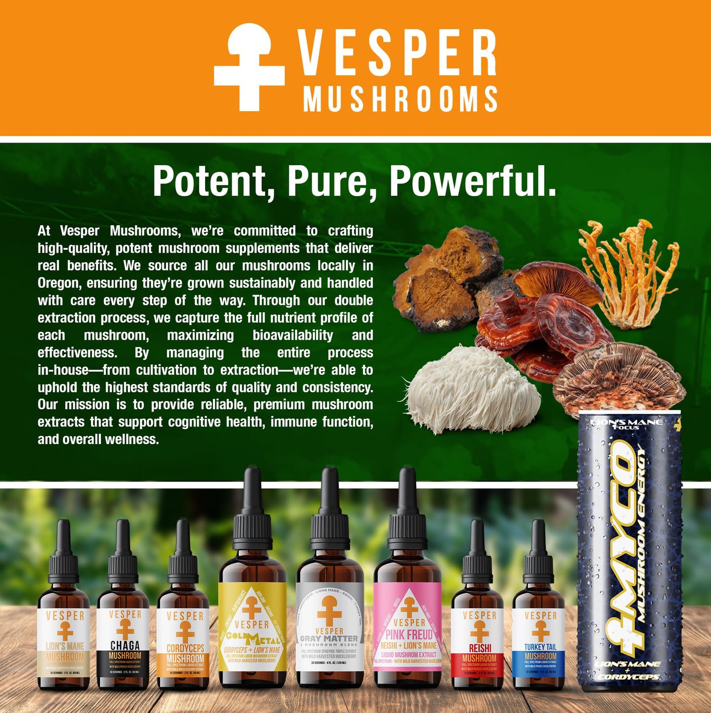 Vesper Pink Freud Mushroom Liquid Extract – Reishi & Lion’s Mane with Wild Huckleberries (4oz) – USA-Grown