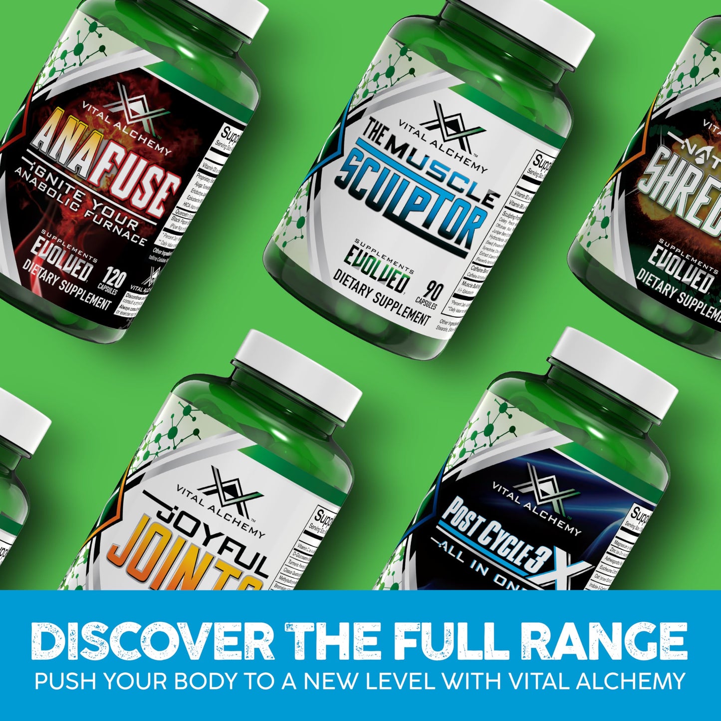 Vital Alchemy The Muscle Sculptor โ Muscle Builder with B3, B6, Epicatechin & Cayenne | Made in USA