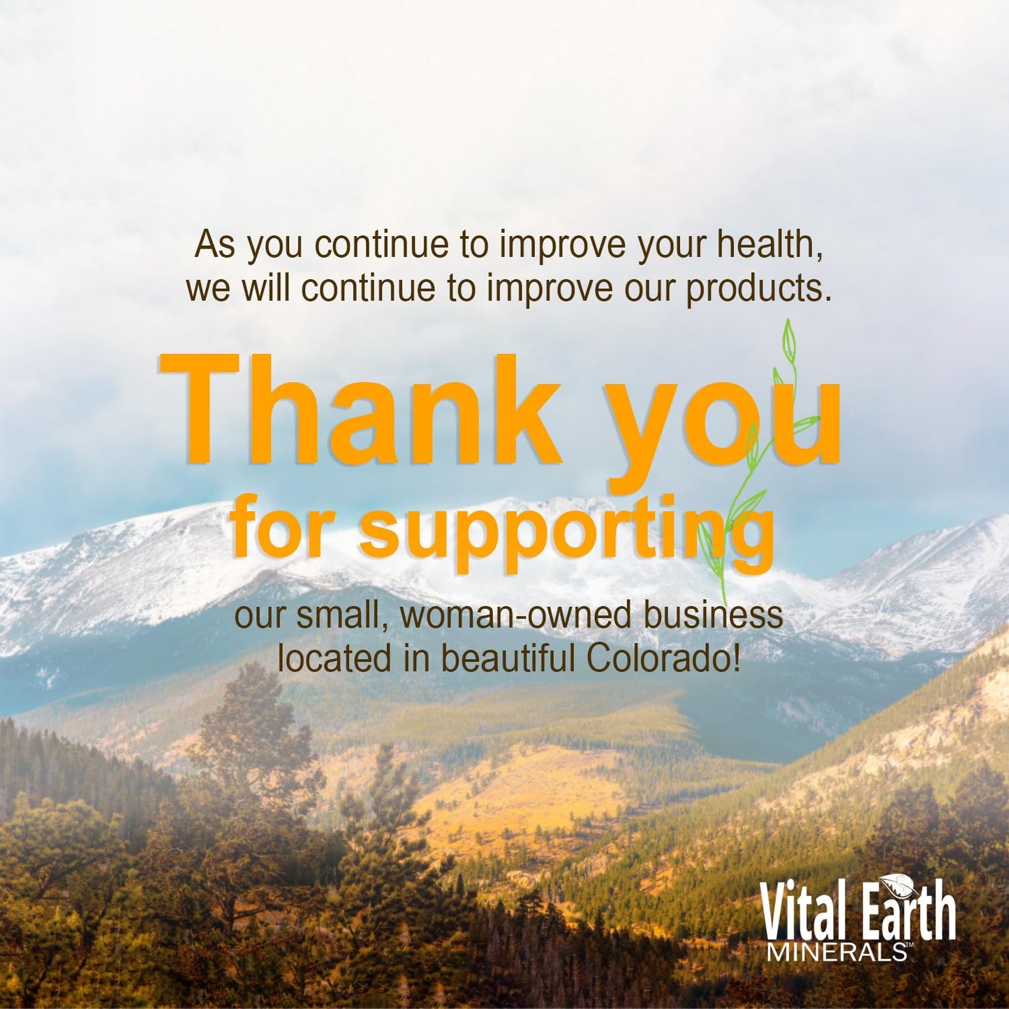 Vital Earth Minerals Liquid Mineral Pump 2-Pack β Fits 32-Ounce Vitamin and Fulvic Mineral Supplement Bottles