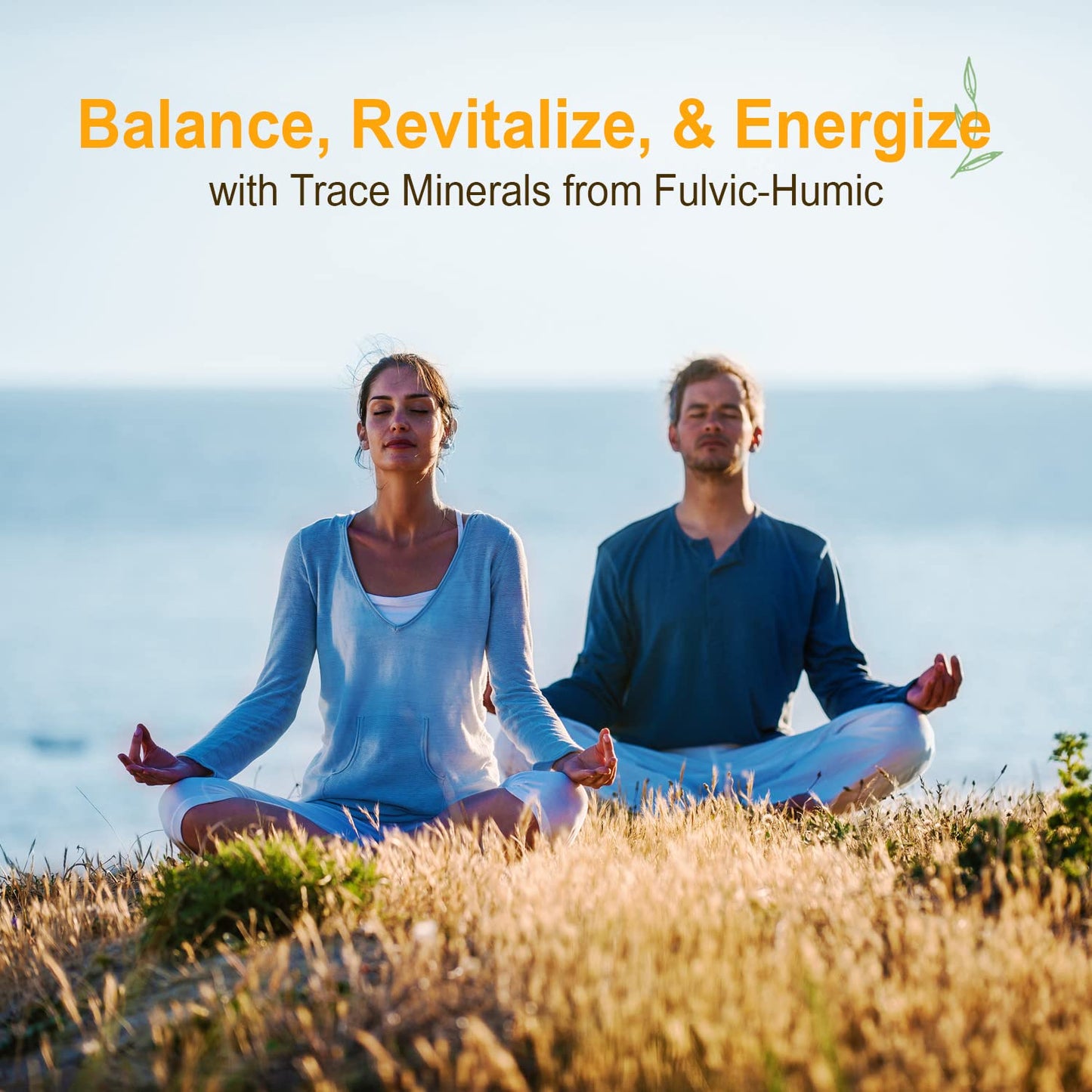 Vital Earth Minerals Fulvic Humic Mineral Blend Liquid 2-Pack โ 70+ Trace Minerals & Electrolytes