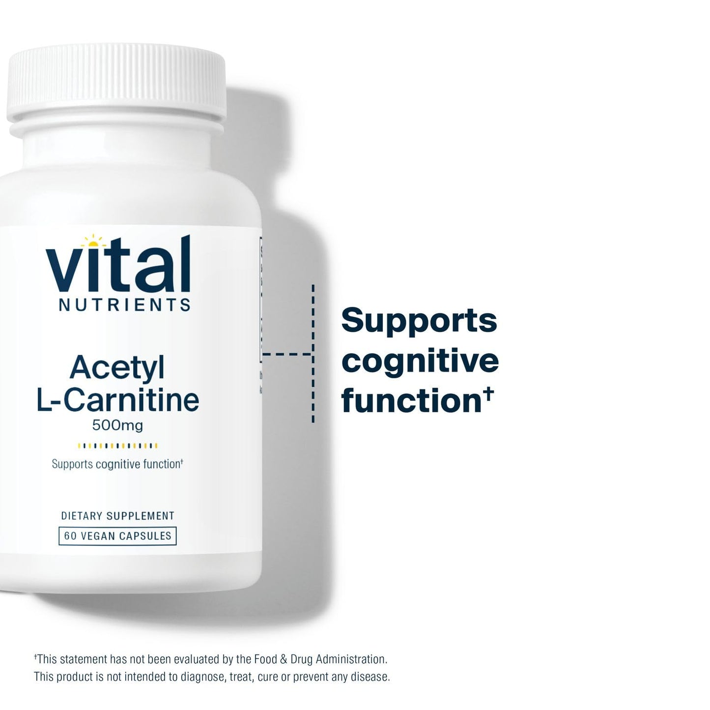 Vital Nutrients Acetyl L-Carnitine 500mg β Brain & Cognitive Support | Vegan, Non-GMO | 60 Capsules