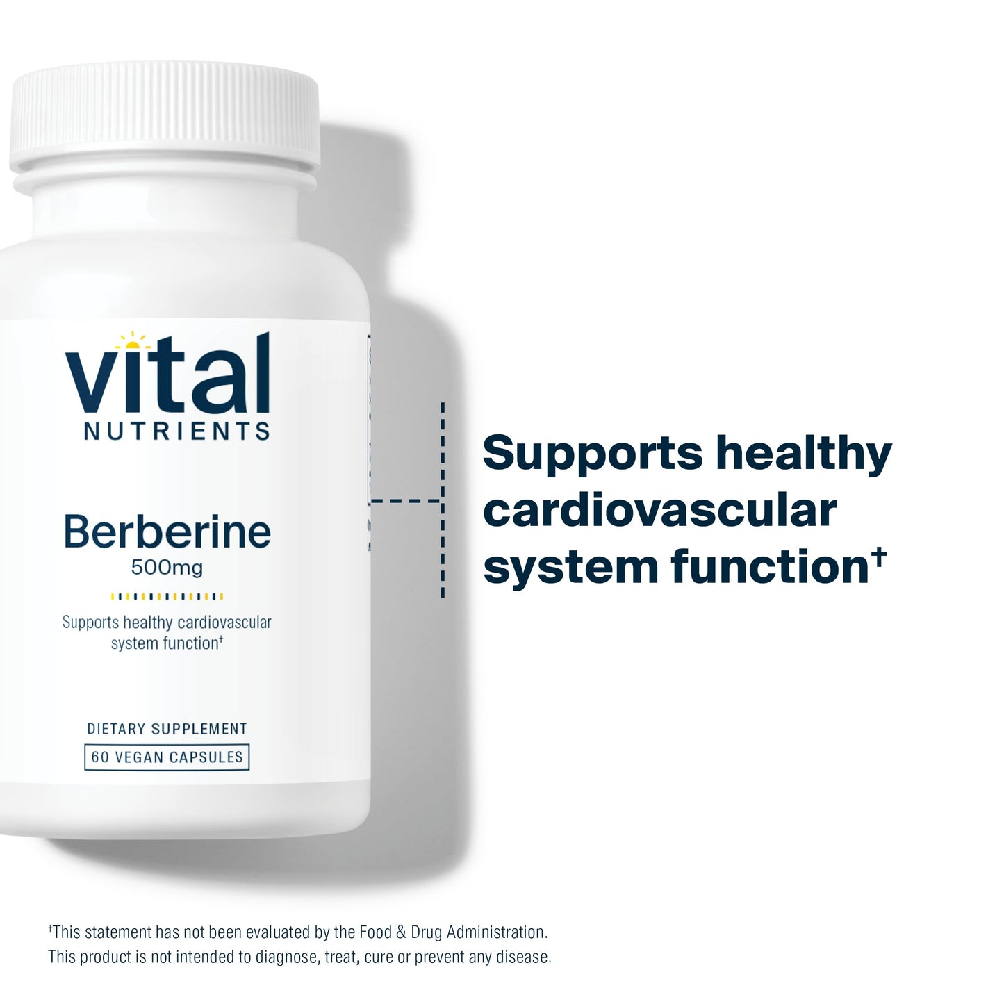 Vital Nutrients Berberine 500 mg Vegan Capsule β Supports Gut Function & Normal Triglyceride Levels | Gluten, Dairy & Soy Free | 60 Capsules