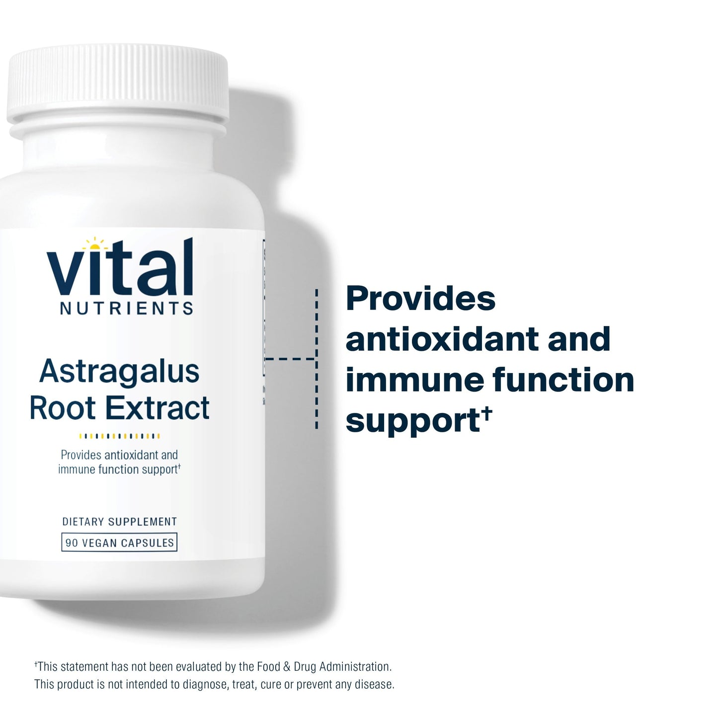 Vital Nutrients Astragalus Root Extract โ Vegan Immune Support, 300 mg, 90 Veg Caps