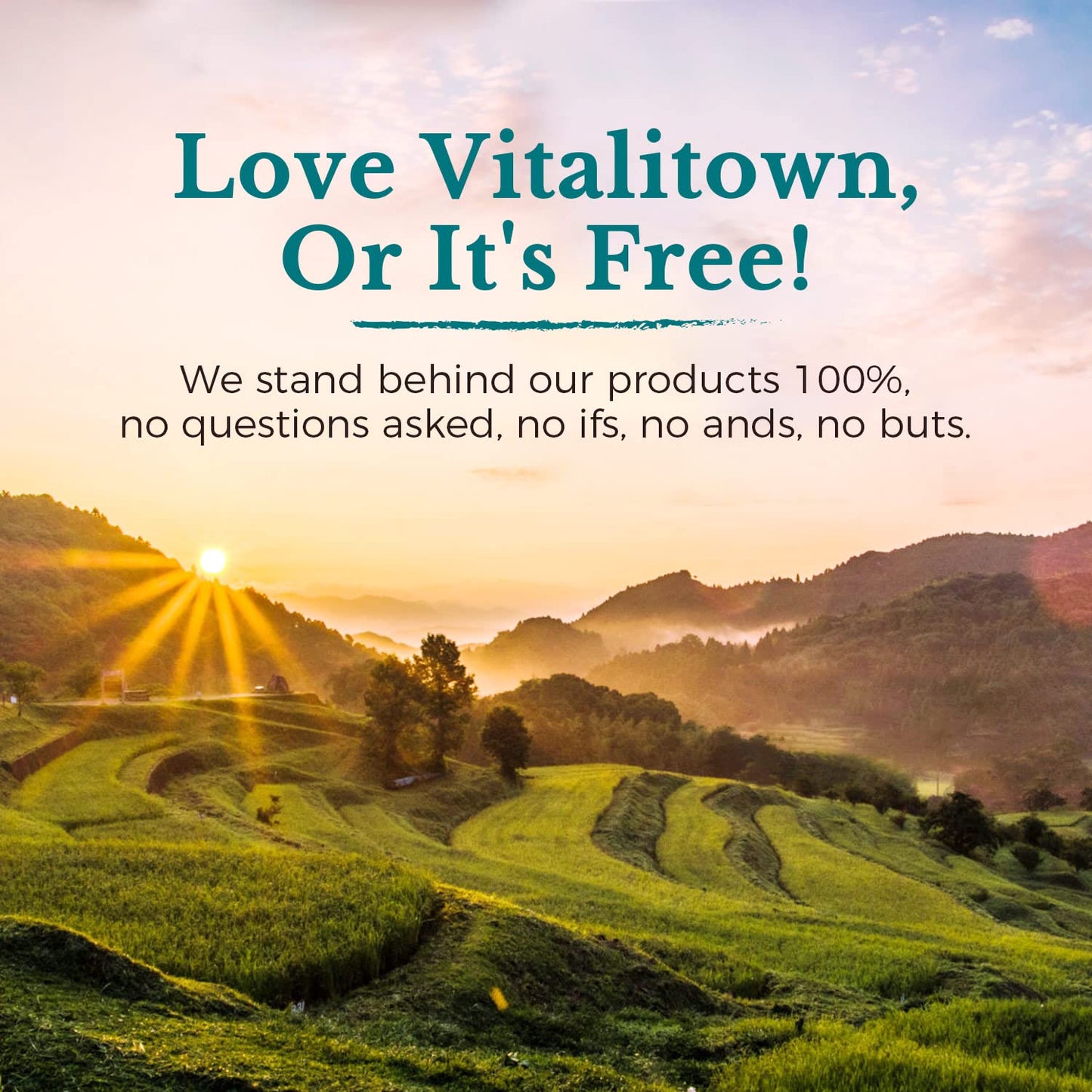 Vitalitown Probiotics 120B CFUs โ 36 Strains, Prebiotics & Enzymes