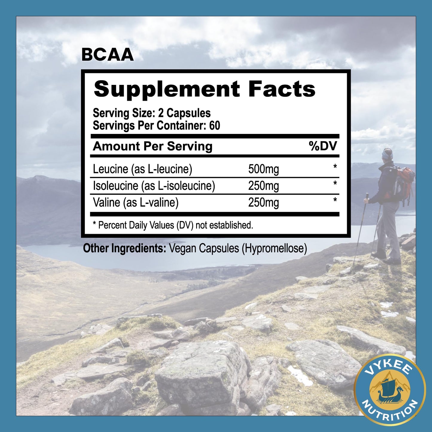 Vykee Nutrition BCAA Capsules โ 1000mg BCAAs (2:1:1) | Vegan, Non-GMO | 120 Capsules
