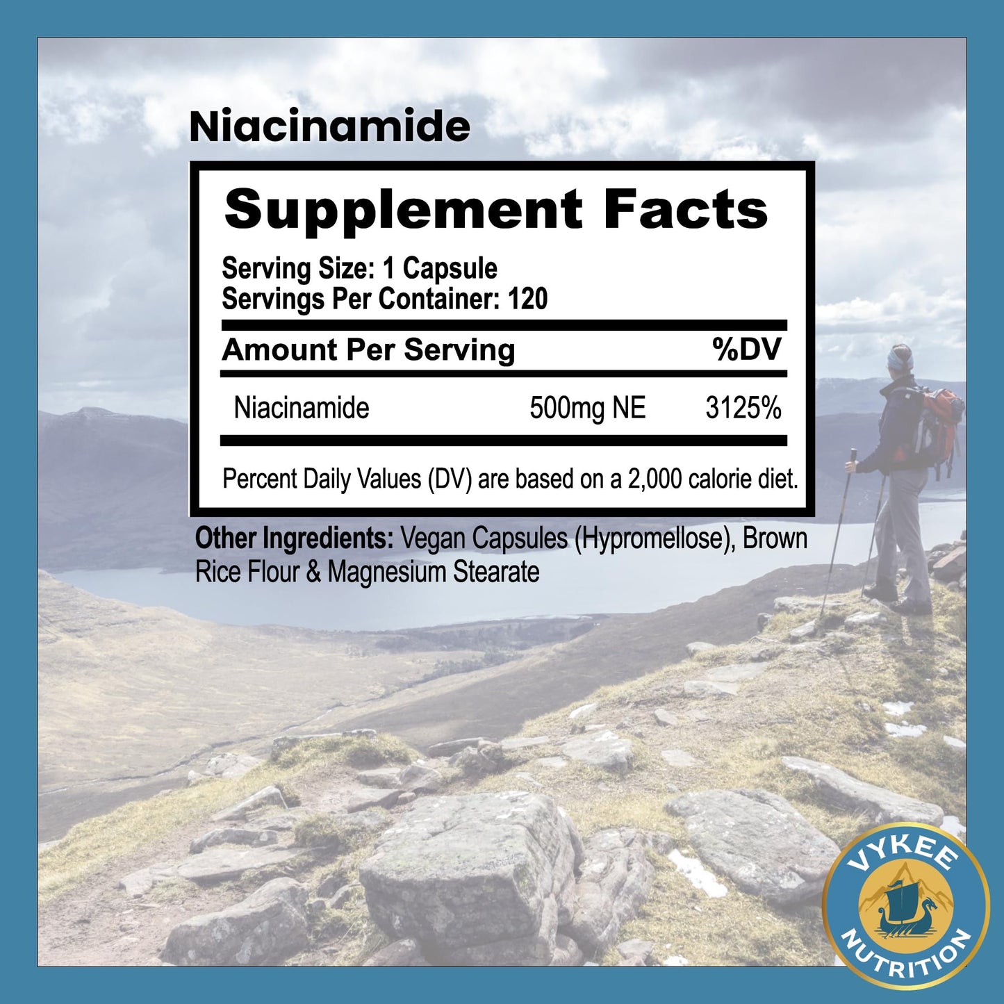 Vykee Nutrition Niacinamide Capsules โ 500mg High-Potency Vitamin B3 | Vegan, Non-GMO | Supports Energy Metabolism, Skin Health & Cellular Repair | 120 Capsules