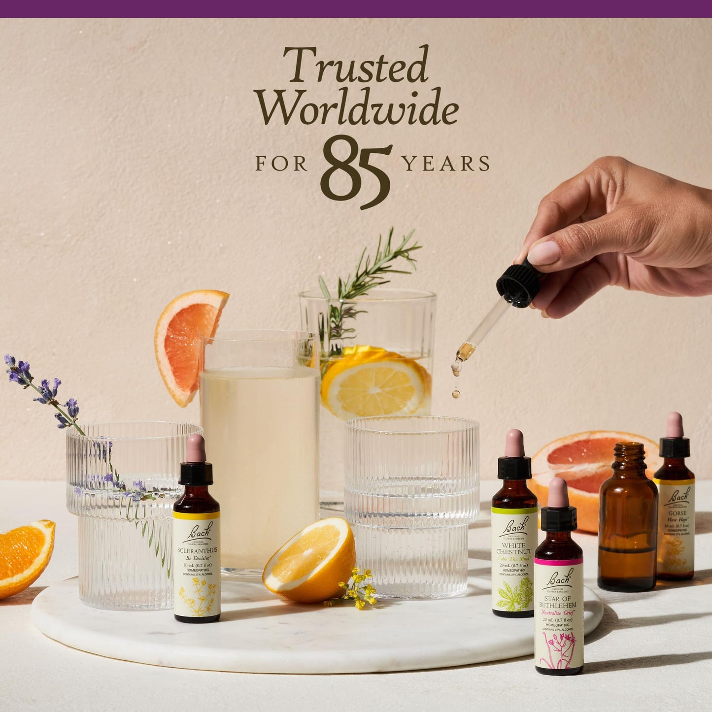 Bach Water Violet Flower Remedy β Connect with Others | 20mL Dropper