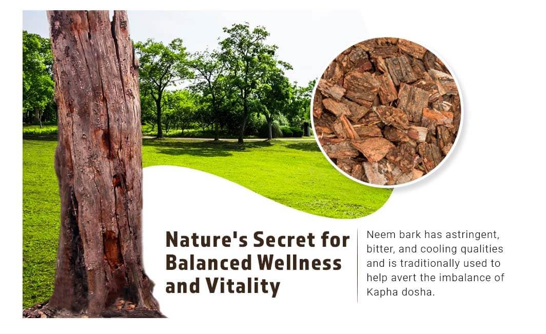 WAY 4 Organic Neem Bark Capsules (W4O) โ 300 Pills, 150 Servings, 1000 mg