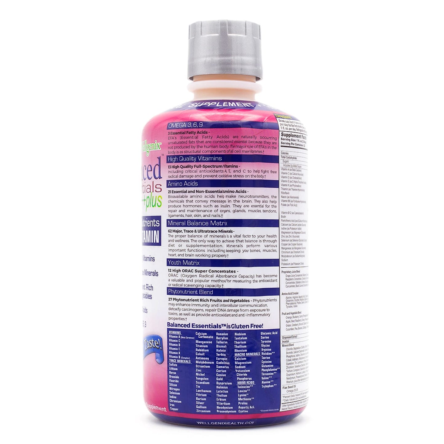 Wellgenix Balanced Essentials 2 Pack β Very Berry Liquid Vitamin 32 oz for Immune Support