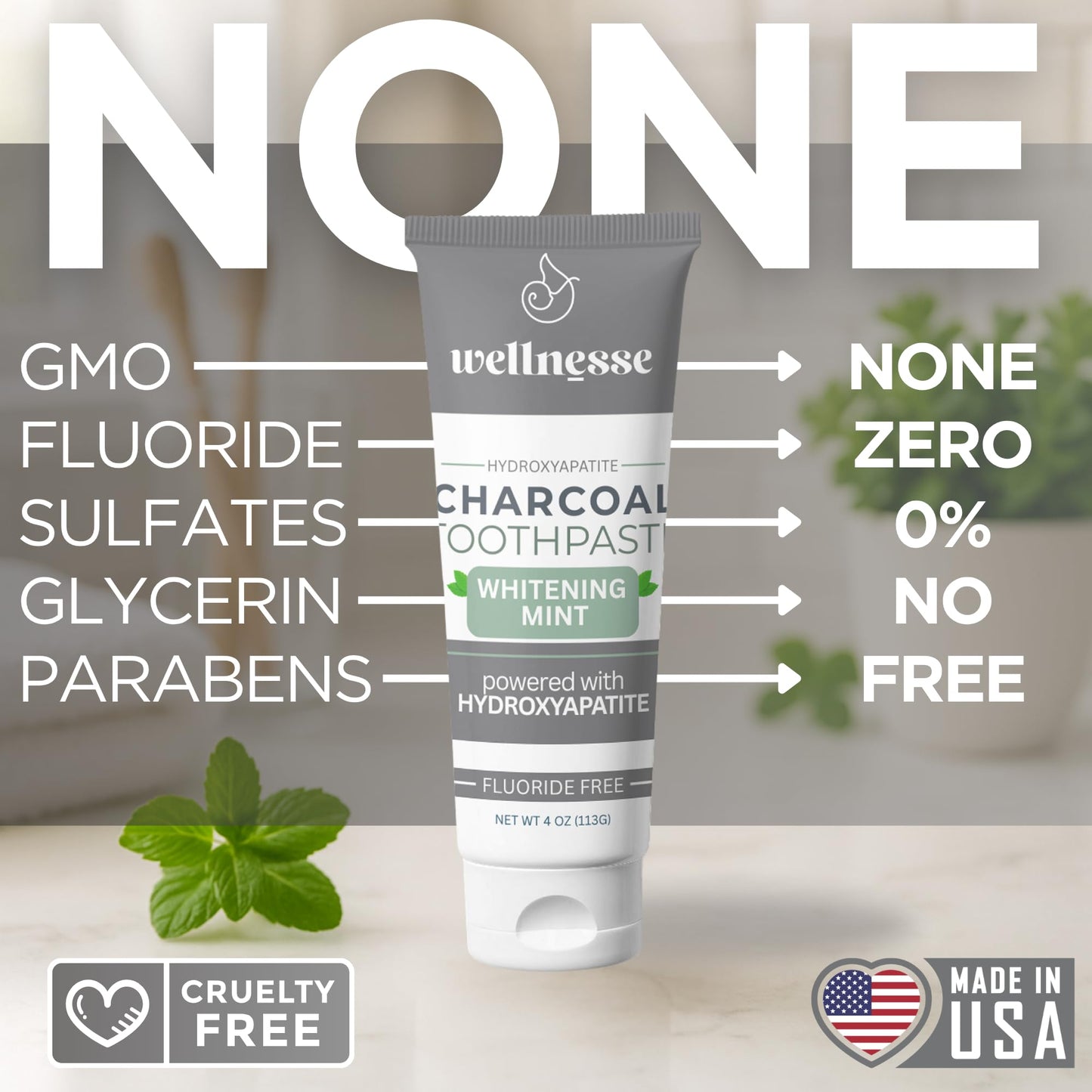 Wellnesse Activated Charcoal Toothpaste with Xylitol โ Fluoride-Free, Mint, 4 oz