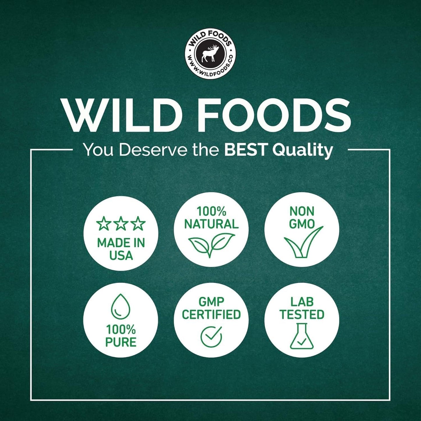 Wild Foods Lions Mane Powder 10:1 Organic Mushroom Extract โ 4 oz Pack of 2 | Brain Health & Focus