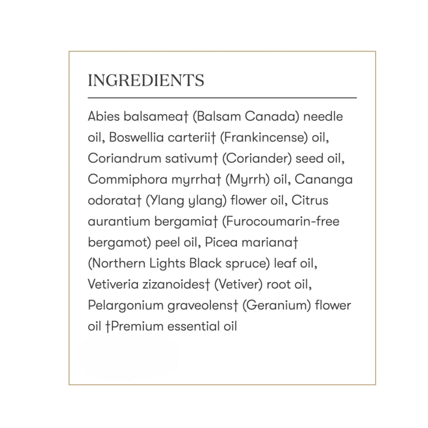Young Living Gratitude Essential Oil Blend β 5 ml | Calming, Uplifting Aroma