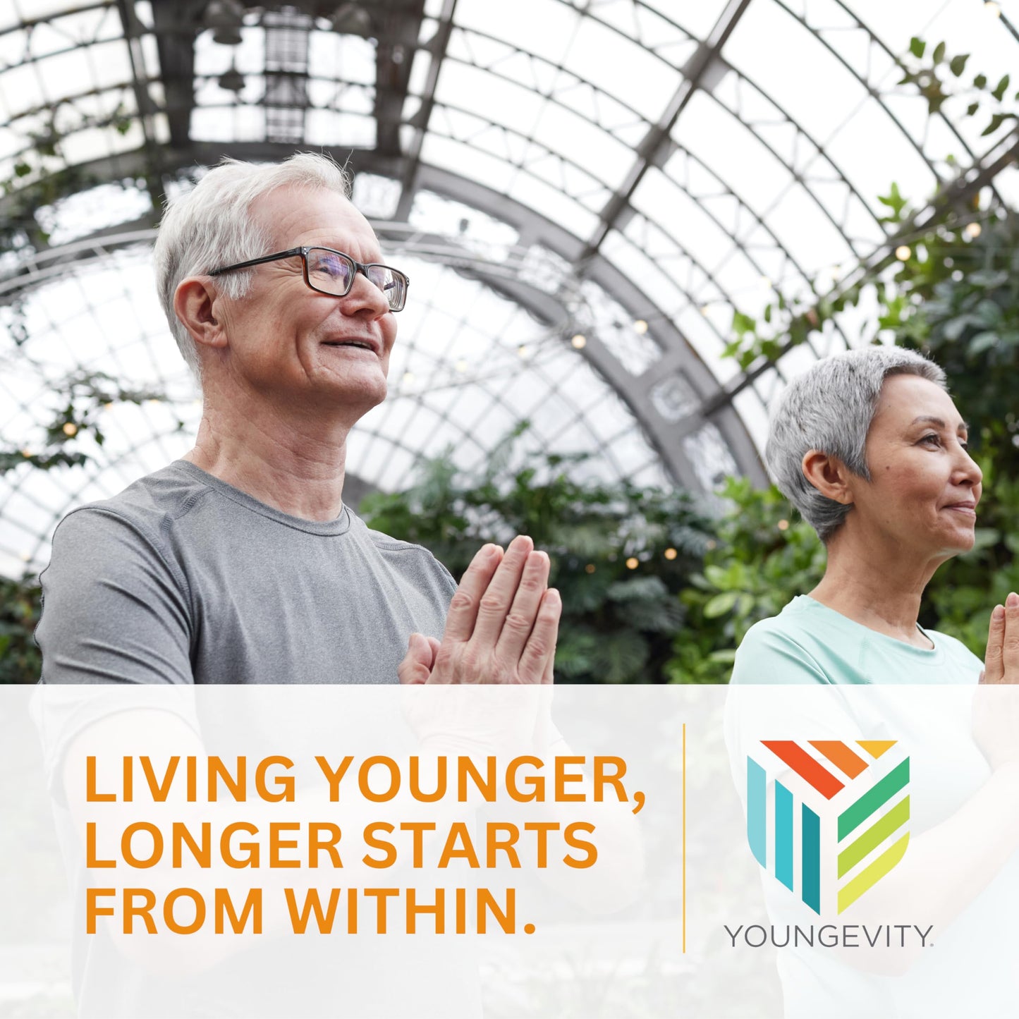 Youngevity Beyond Tangy Tangerine 2.0 Citrus Peach Fusion โ Multi-Vitamin & Mineral Complex | 8,000 ORAC