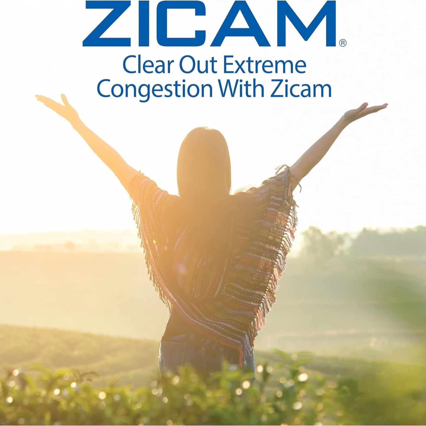 Zicam Extreme Congestion Relief Nasal Spray โ 12-Hour No-Drip Aloe Vera (0.50 fl oz, Pack of 4)