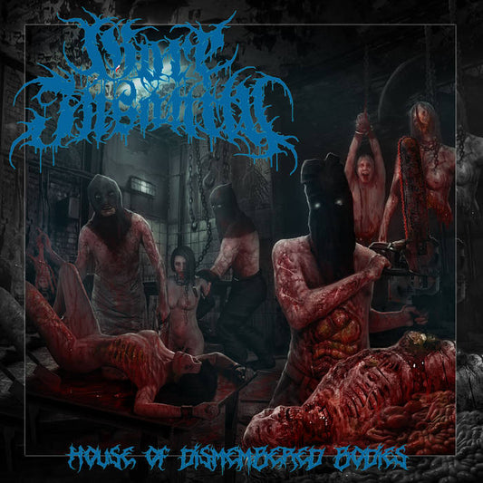 Gore Insanity - House Of Dismembered Bodies