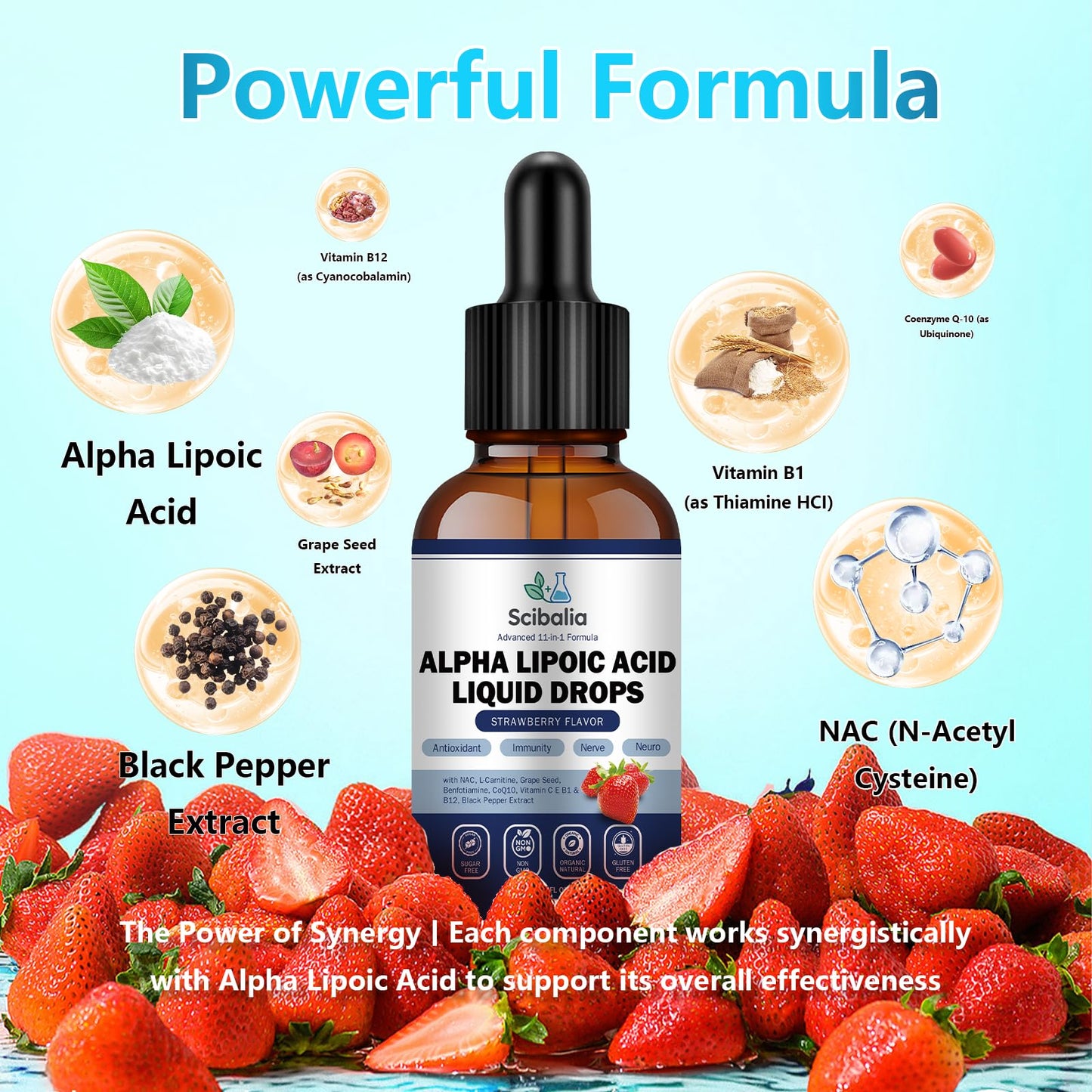 Alpha Lipoic Acid 1000mg Liquid Drops – 11-in-1 ALA with Acetyl-L-Carnitine & Benfotiamine