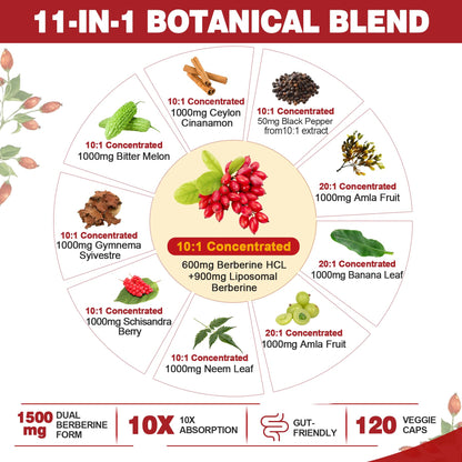 Berberine Supplement Organic 1500mg – Liposomal HCL Complex with Cinnamon & Bitter Melon (120 Caps)