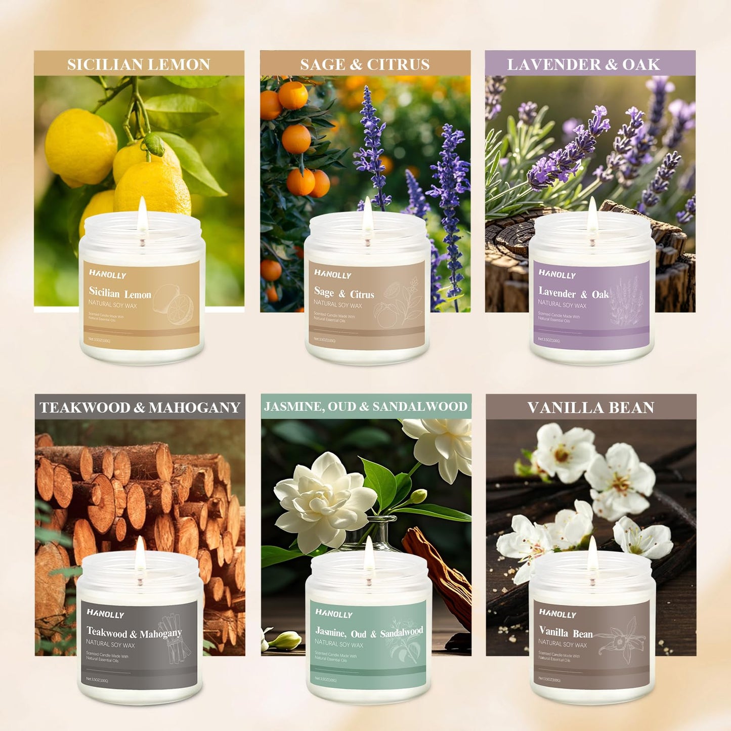 12 Pack Natural Soy Candles Gift Set – Aromatherapy Home Scents (Lavender, Vanilla, Rose & Eucalyptus)