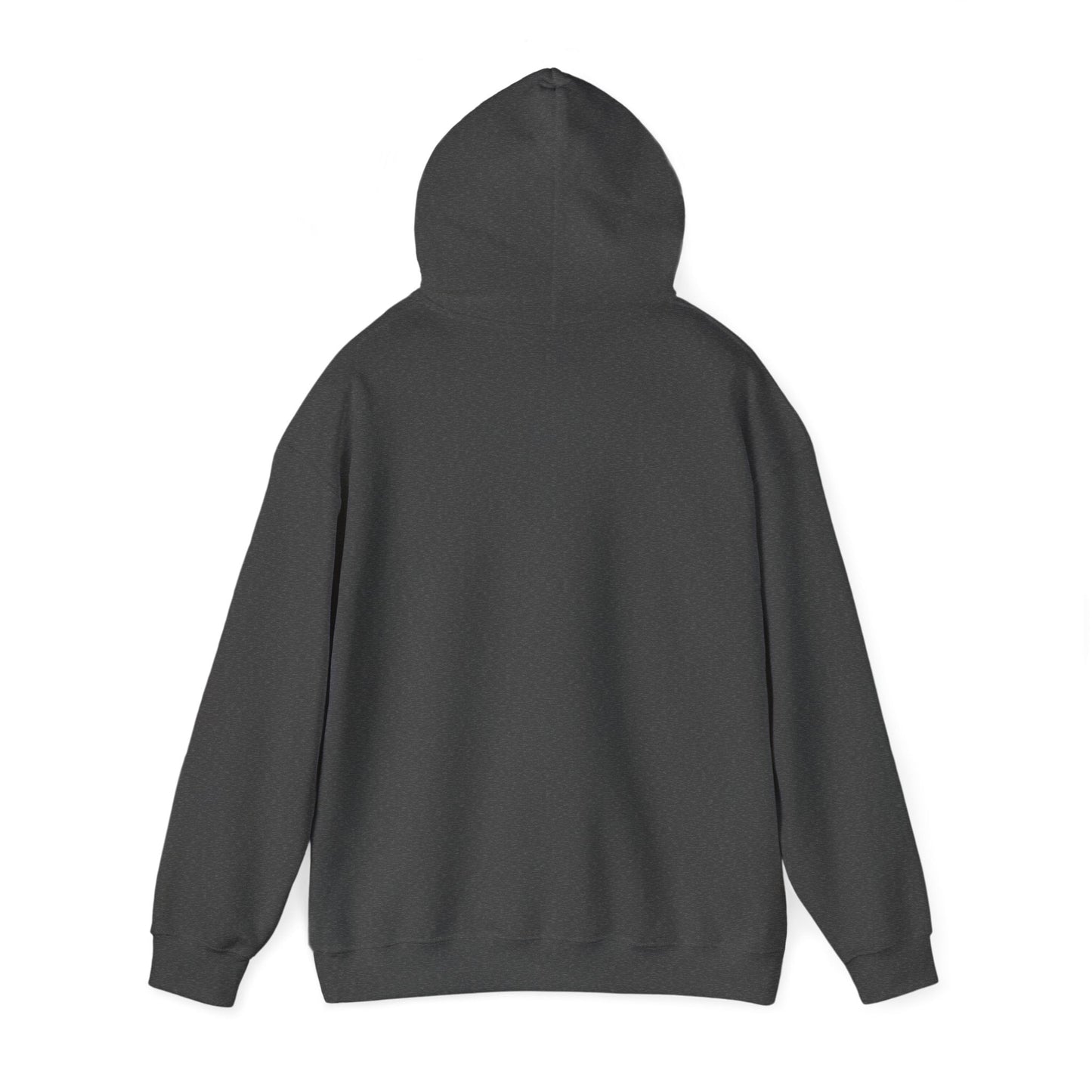 'Just for the Record' Men's Hoodie