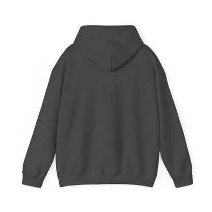 'I'm Not Old, I'm a Classic' Men's Hoodie