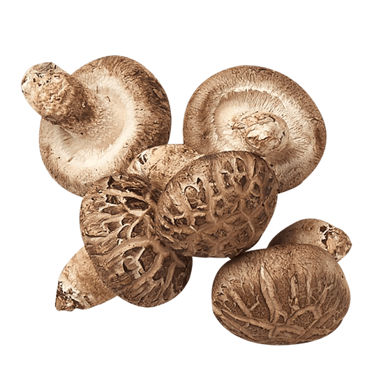 Fresh Shitake Mushroom Hem Hom 100g