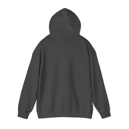 'Life Sounds Better on Vinyl' Men's Hoodie