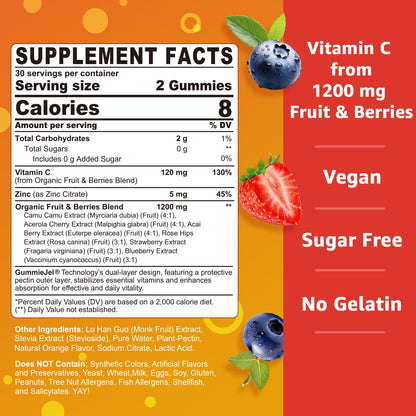 Nextdia 2 Pack Organic Vitamin C Gummies 120mg – Sugar Free, Vegan, Whole Food Vitamin C