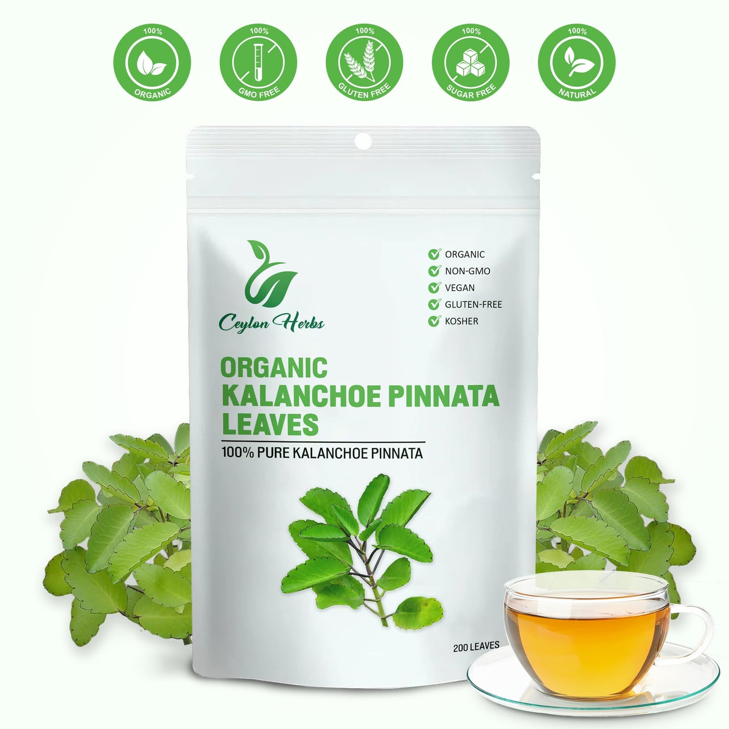 200 Kalanchoe Pinnata Leaves – Dried Organic, 100% Pure & Natural