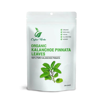 200 Kalanchoe Pinnata Leaves – Dried Organic, 100% Pure & Natural