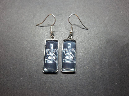 Goth Gothic Witchy Occult "Satanic" Stainless Steel rectangle image earrings