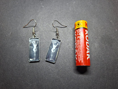 Goth Gothic Witchy Occult Succubus "Lilith" Inspired Stainless Steel rectangle image earrings