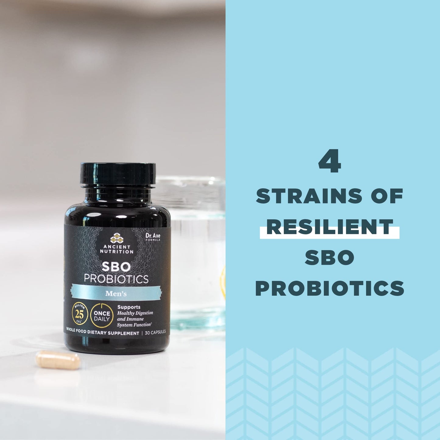 Ancient Nutrition SBO Probiotics for Men – Once Daily 30 Count, 25B CFU