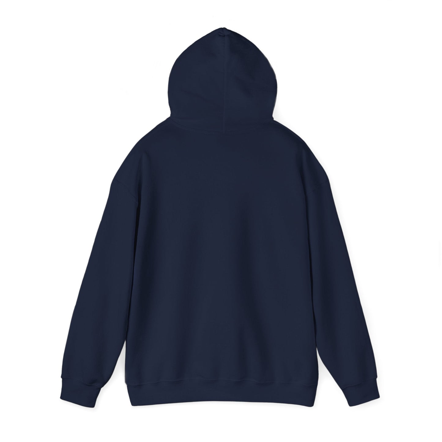 'Money Can't Buy Happiness, But It Can Buy Vinyl' Men's Hoodie