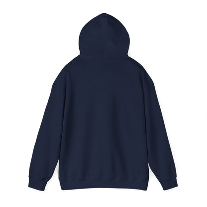 'Money Can't Buy Happiness, But It Can Buy Vinyl' Men's Hoodie