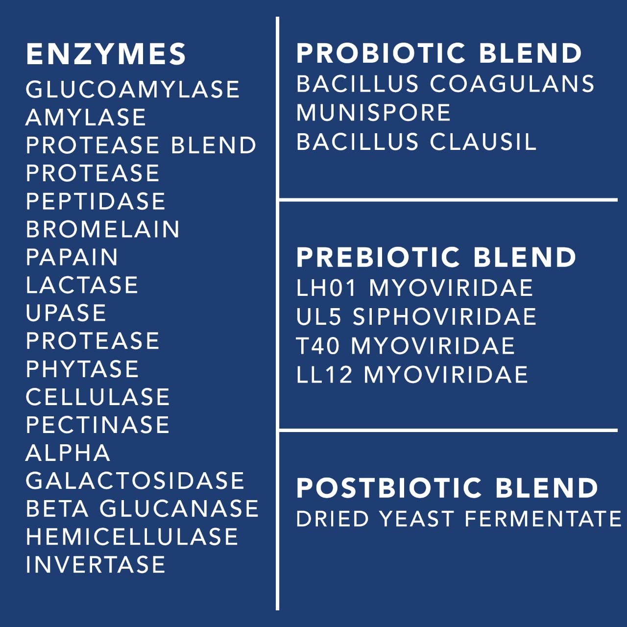 4-in-1 Prebiotic Probiotic & Postbiotic Gut Health - 60 Capsules (Women & Men)