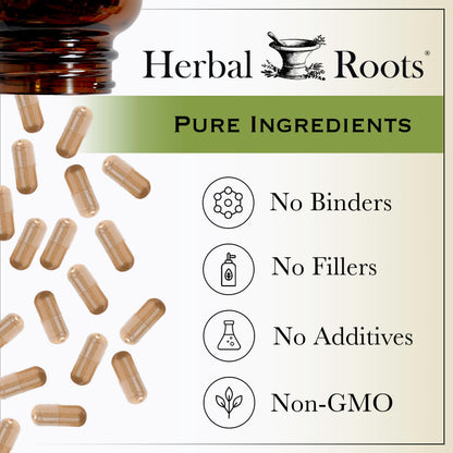Herbal Roots Organic Beet Root Powder Capsules - 1,500mg per Serving | USDA Organic