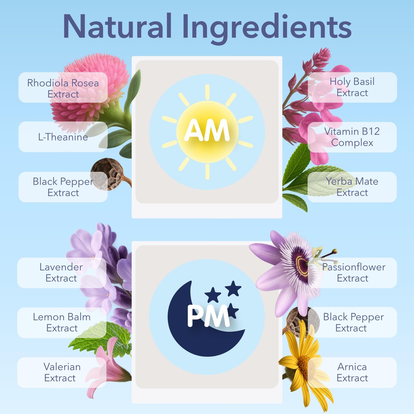 Jet Lag AM & PM Travel Patches – Natural Energy, Focus & Restful Sleep (8 Topical Patches)