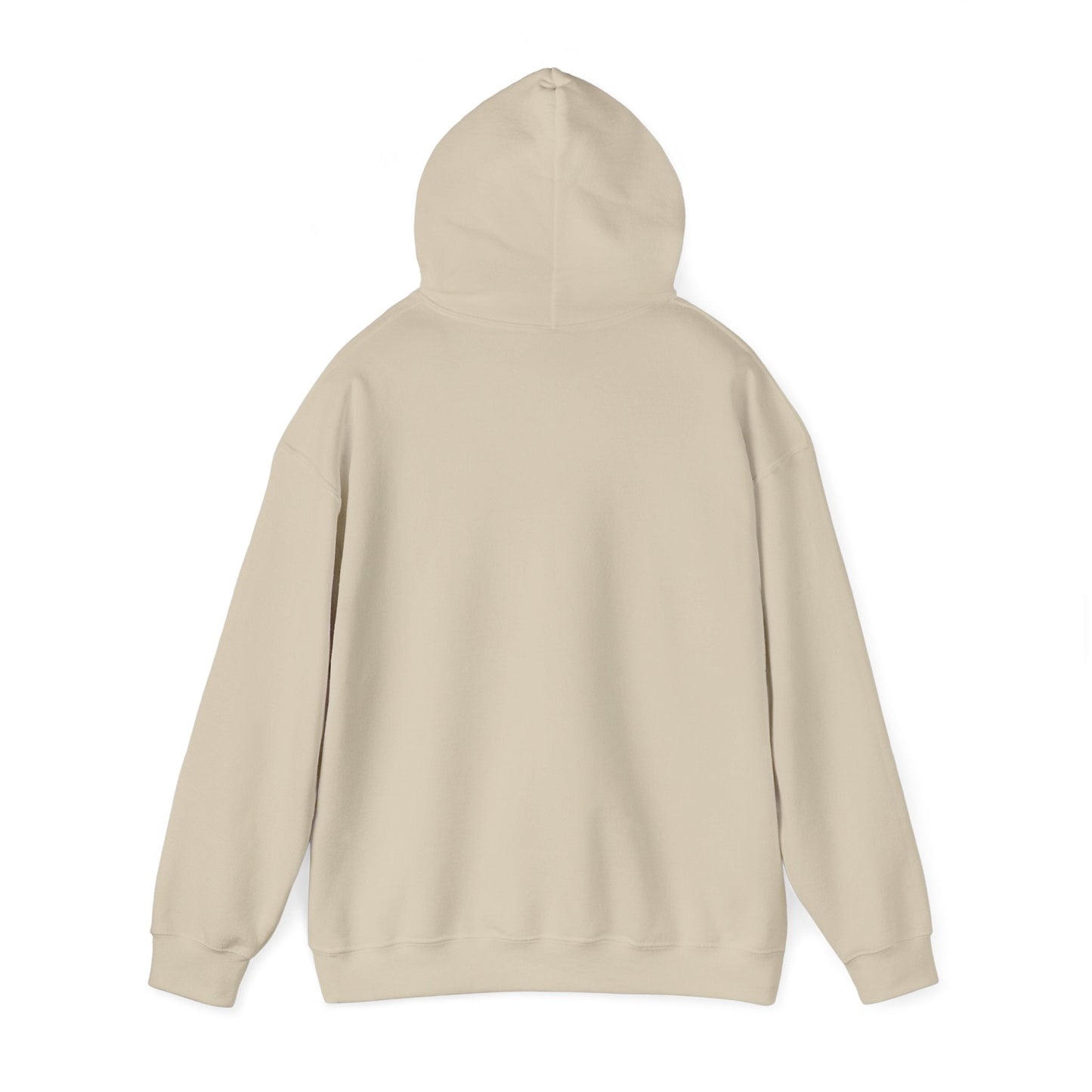 'Money Can't Buy Happiness, But It Can Buy Vinyl' Men's Hoodie