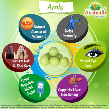 Aushadh Amla (Indian Gooseberry) Powder 100 gram - Hair & Scalp Support