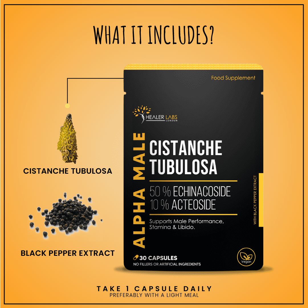 Cistanche Tubulosa 50% Echinacoside + 10% Acetosides