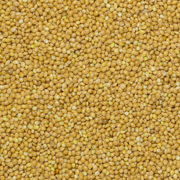 Millet Grain