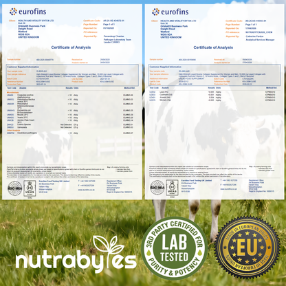 Liquid Bovine Collagen 10,000mg (Type 1 and 3) with 19 Amino Acids